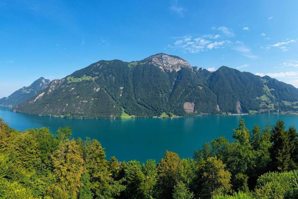 Exklusives Chalet Mit Traumhafter See- Und Bergsicht Seelisberg Dış mekan fotoğraf